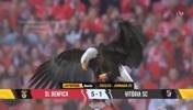 国米欧冠对手！本菲卡5-1取联赛9连胜，马里奥双响拉莫斯传射！