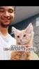😍小猫太可爱了！热火新秀韦尔收养小猫！